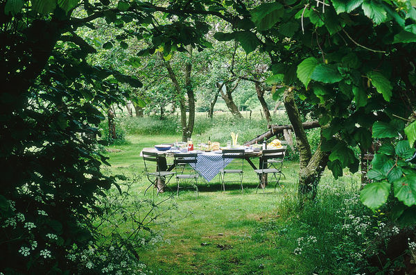 小满吃什么养生，小满节气的农事有什么-小满吃啥呀