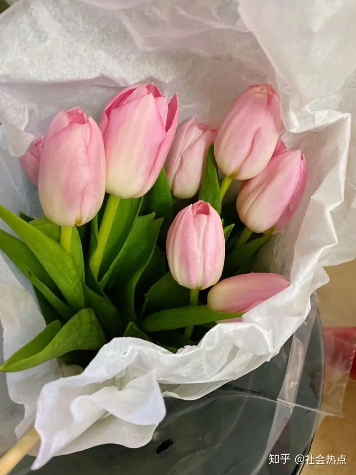 花加——爱情的代言人郁金香有哪些花语和故事（郁金香花语网）