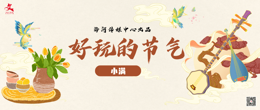 好玩的节气丨小满-小满节气活动教案