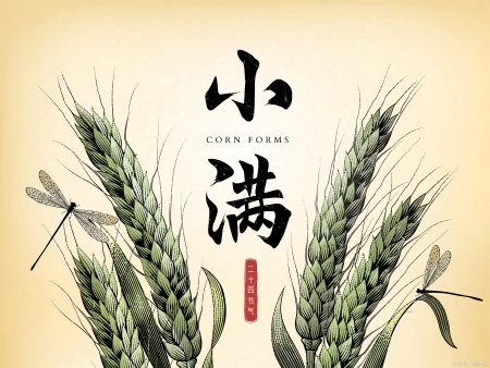 小满节气，天越来越热了，别忘吃这“健脑菜”，清热除湿补营养-小满节气中医养生