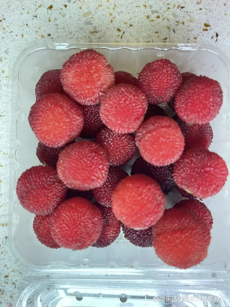 你知道小满节气来临后的变化吗-小满节气儿童绘画