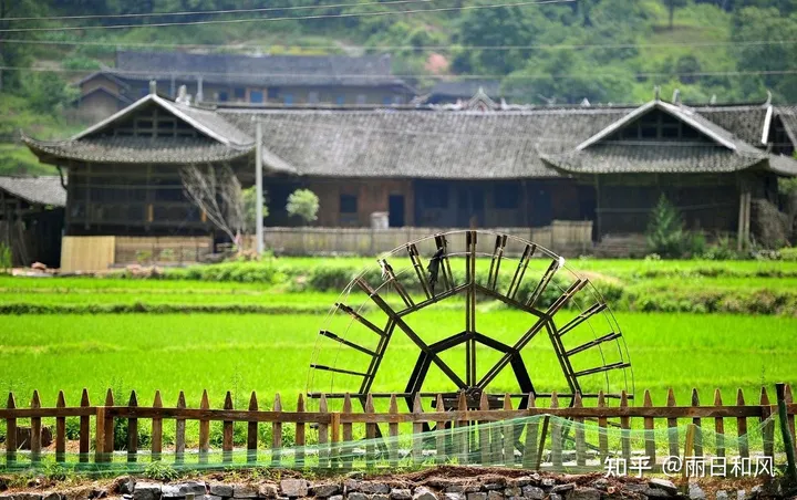 今天是小满节气，24节气你都了解哪些？-小满这个节气