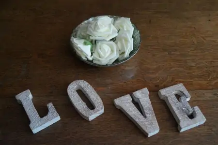 探究花语，了解哪些花象征着深情爱意（象征爱情的花都有什么）