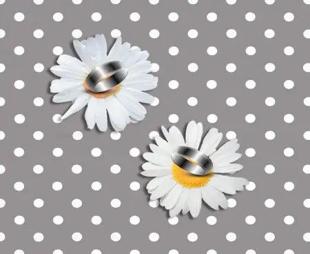 探究花语，了解哪些花象征着深情爱意（象征爱情的花都有什么）