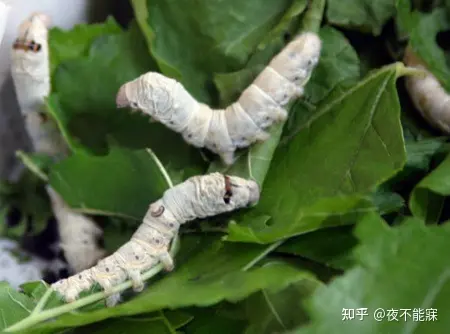 什么是小满？-小满贷款的额度怎么提升