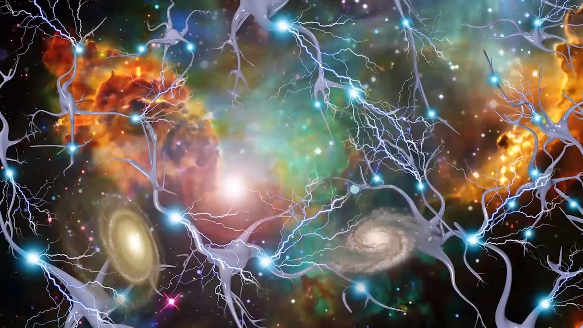 有什么东西学生吃了可以增长记忆力和注意力？（学生吃什么营养能提高记忆力）