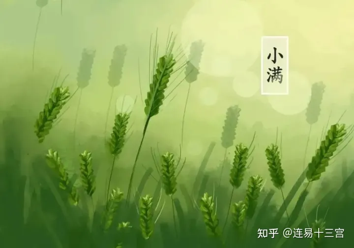 【24节气详解】小满-附养生精要-24节气小满资料