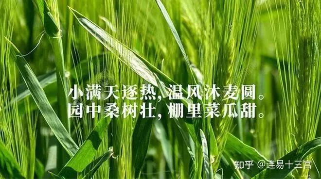 【24节气详解】小满-附养生精要-24节气小满资料