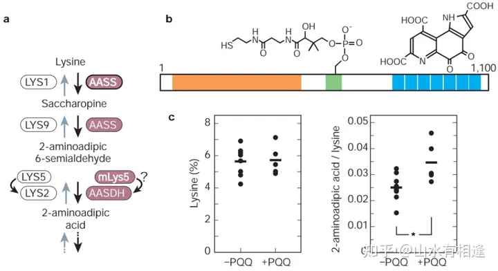请问什么营养品可以提高记忆力，尤其是适合学生吃的？（学生要吃哪种能增加记忆）