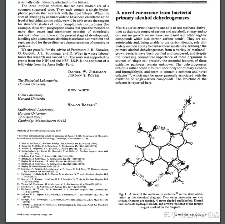请问什么营养品可以提高记忆力，尤其是适合学生吃的？（学生要吃哪种能增加记忆）