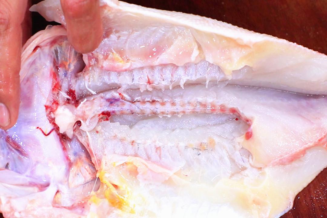 高考将近,建议家长:多给孩子吃这5种"补脑菜"，强过天天吃保健品（高考孩子吃啥补脑子?）