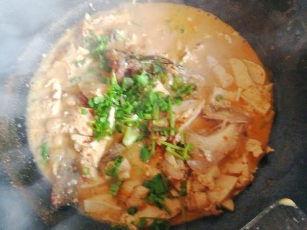 天然“补脑菜”被发现，提高记忆力，常给孩子吃，头脑聪明学习好（补脑菜品）