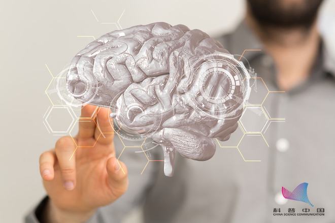 【健康】常吃这些食物能增强记忆力！（吃什么增强记忆力的）