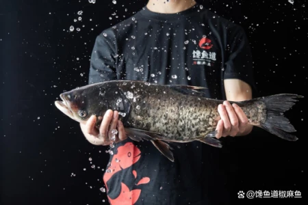 爱吃鱼的人会收获4个好处，但这2类人最好少吃！（爱吃鱼的人身体缺什么维生素）