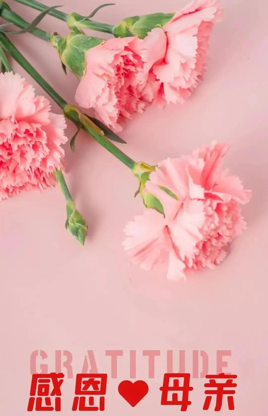 母亲节暖心文案，以爱之名，陪您到老，愿岁月温柔以待-母亲节文案催泪句子