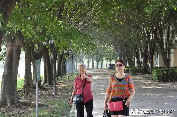 陪伴妈妈的幸福时光-陪伴妈妈的幸福时光的句子说说简短