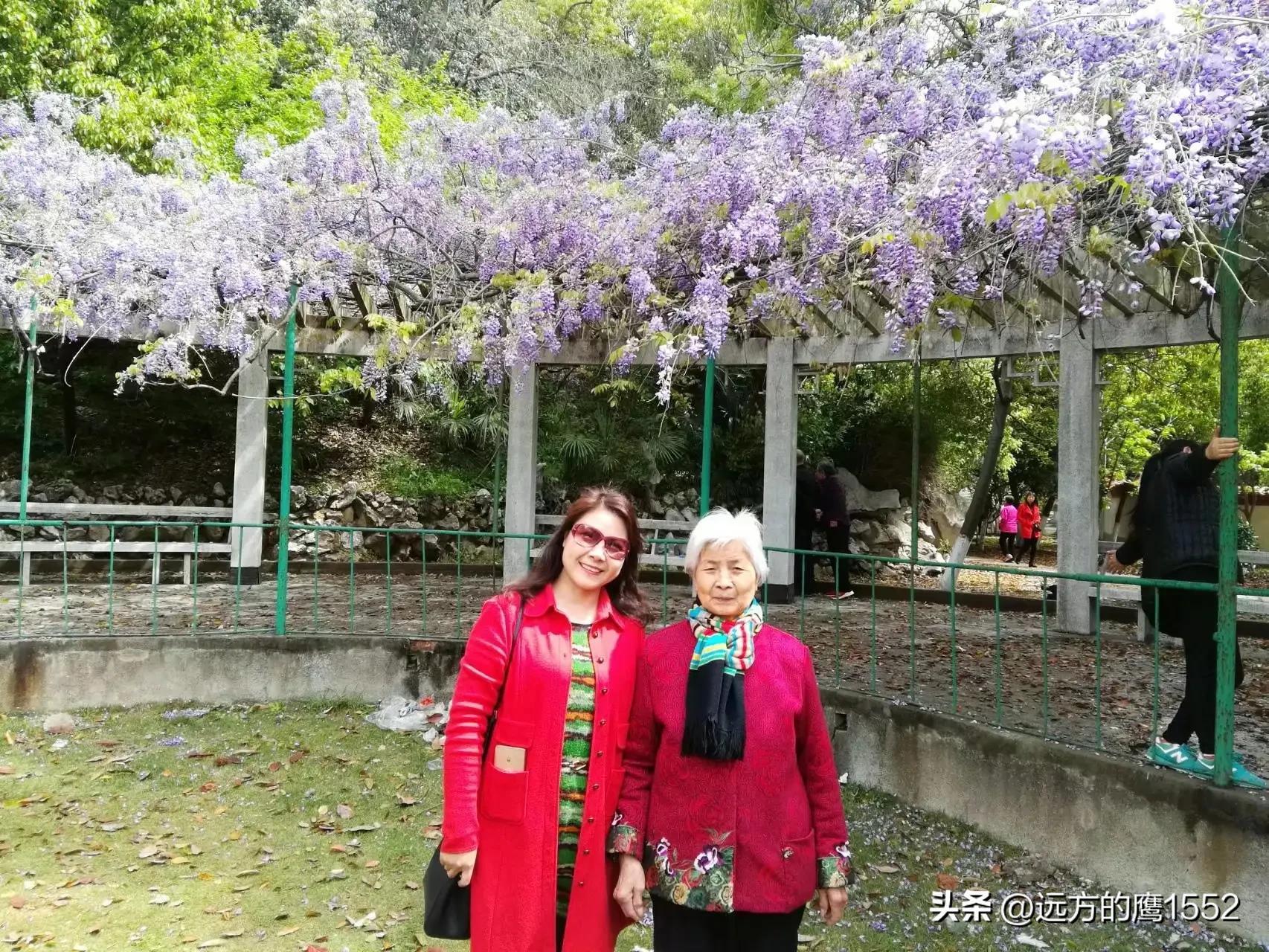 陪伴妈妈的幸福时光-陪伴妈妈的幸福时光的句子说说简短