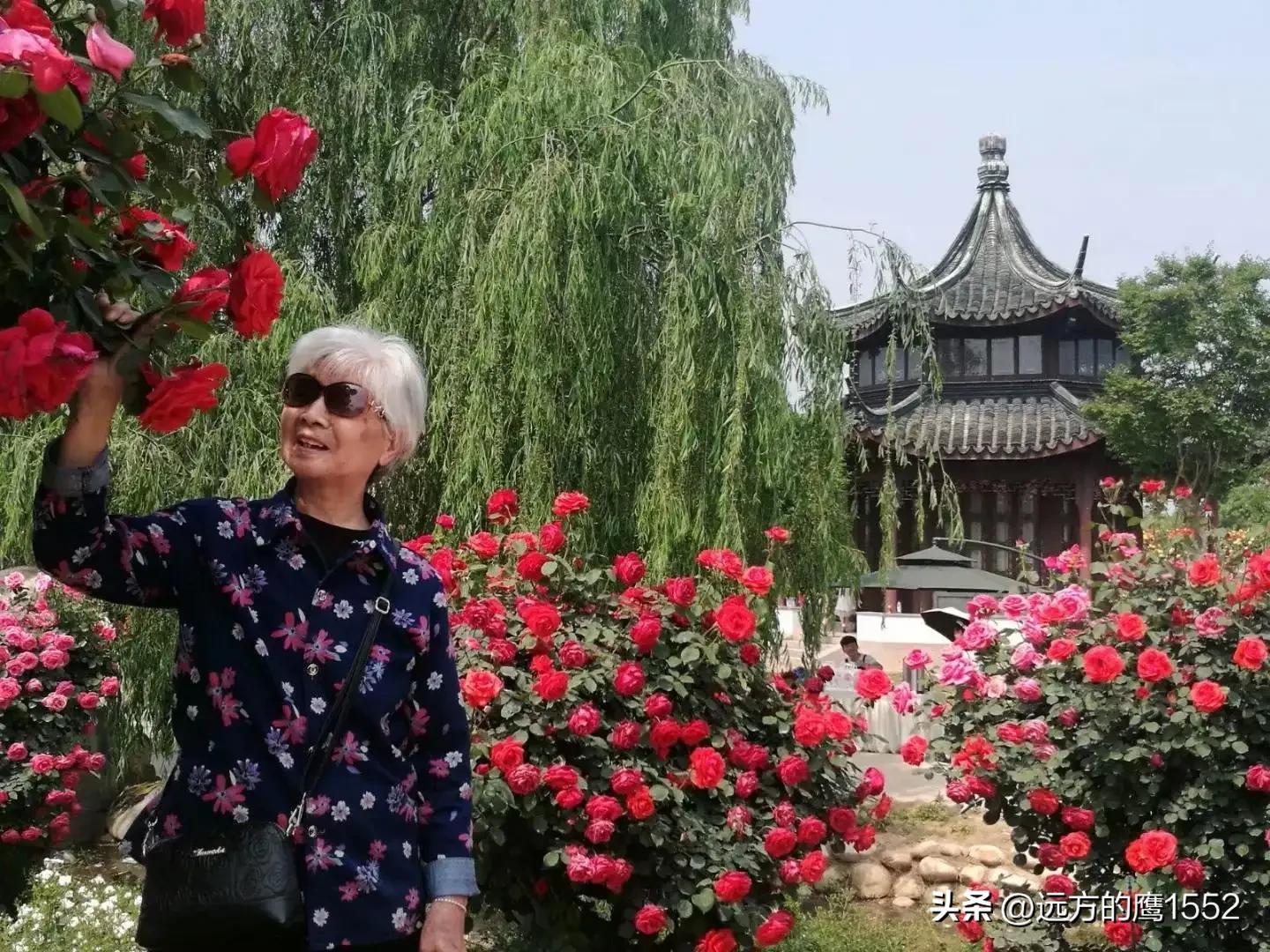 陪伴妈妈的幸福时光-陪伴妈妈的幸福时光的句子说说简短