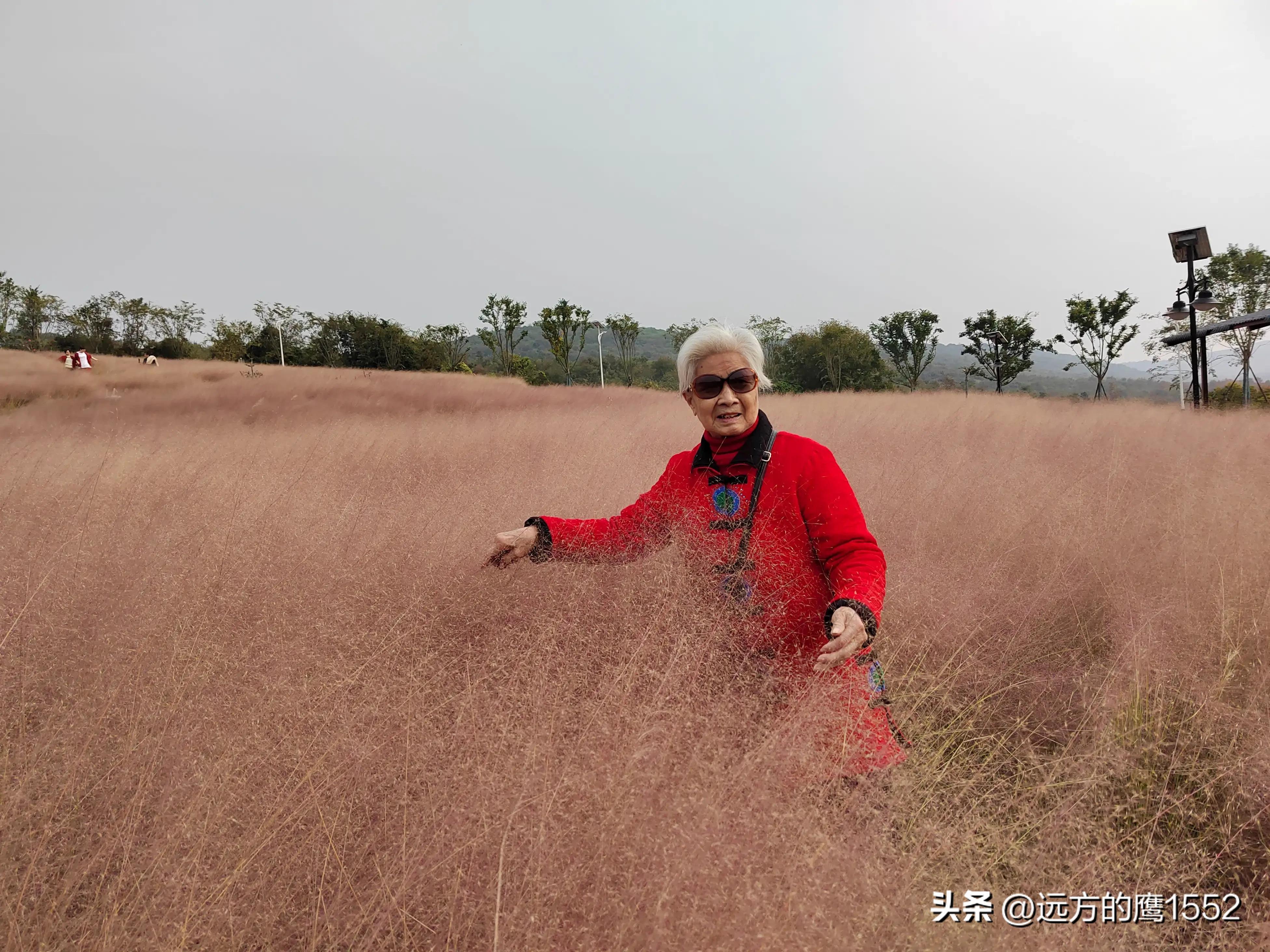 陪伴妈妈的幸福时光-陪伴妈妈的幸福时光的句子说说简短