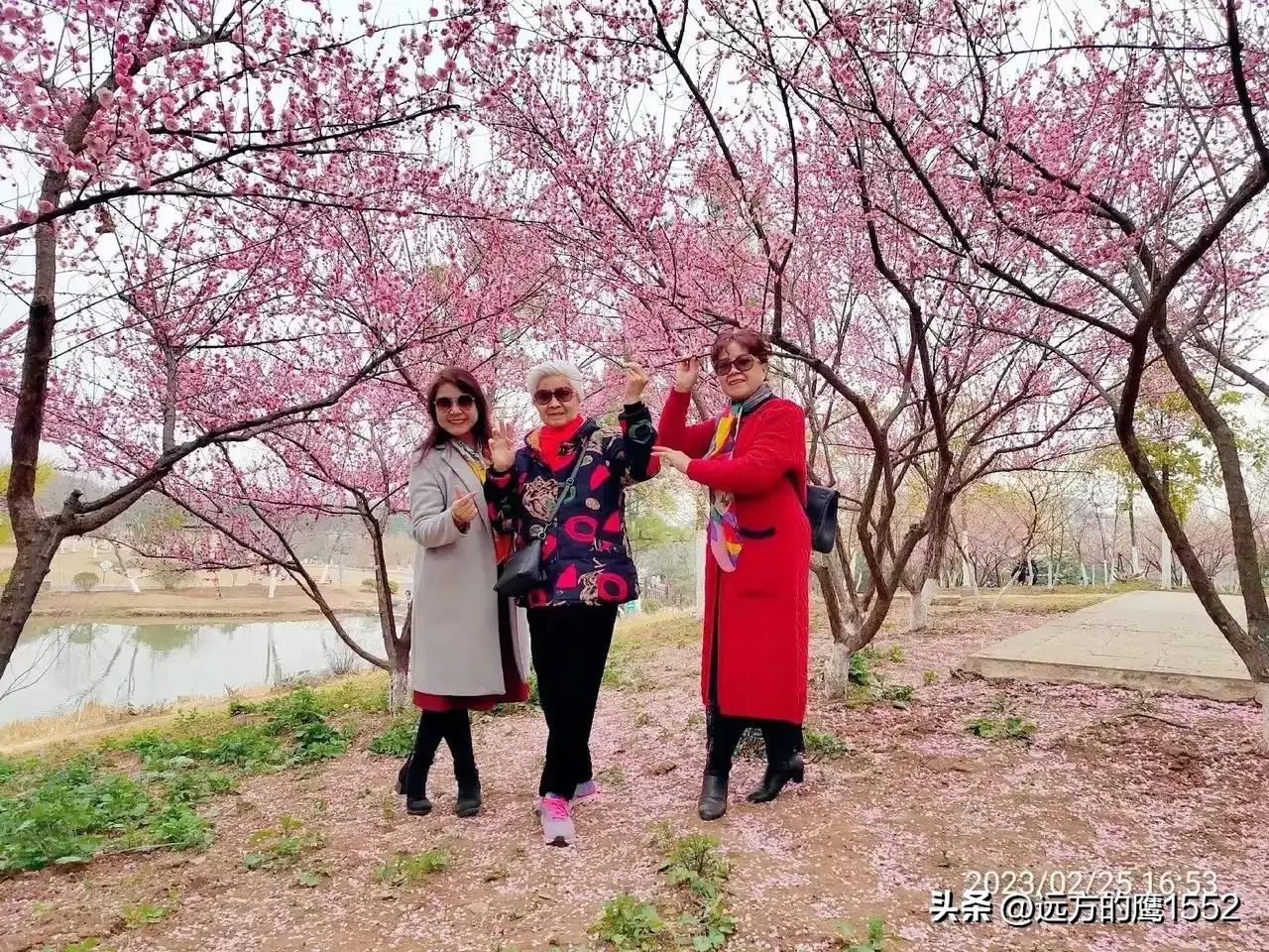 陪伴妈妈的幸福时光-陪伴妈妈的幸福时光的句子说说简短