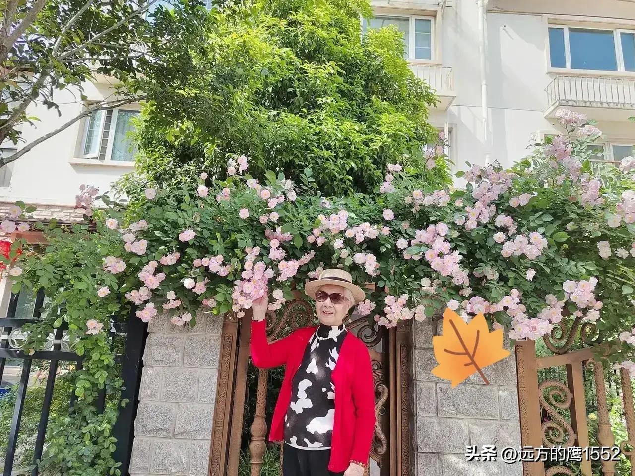 陪伴妈妈的幸福时光-陪伴妈妈的幸福时光的句子说说简短