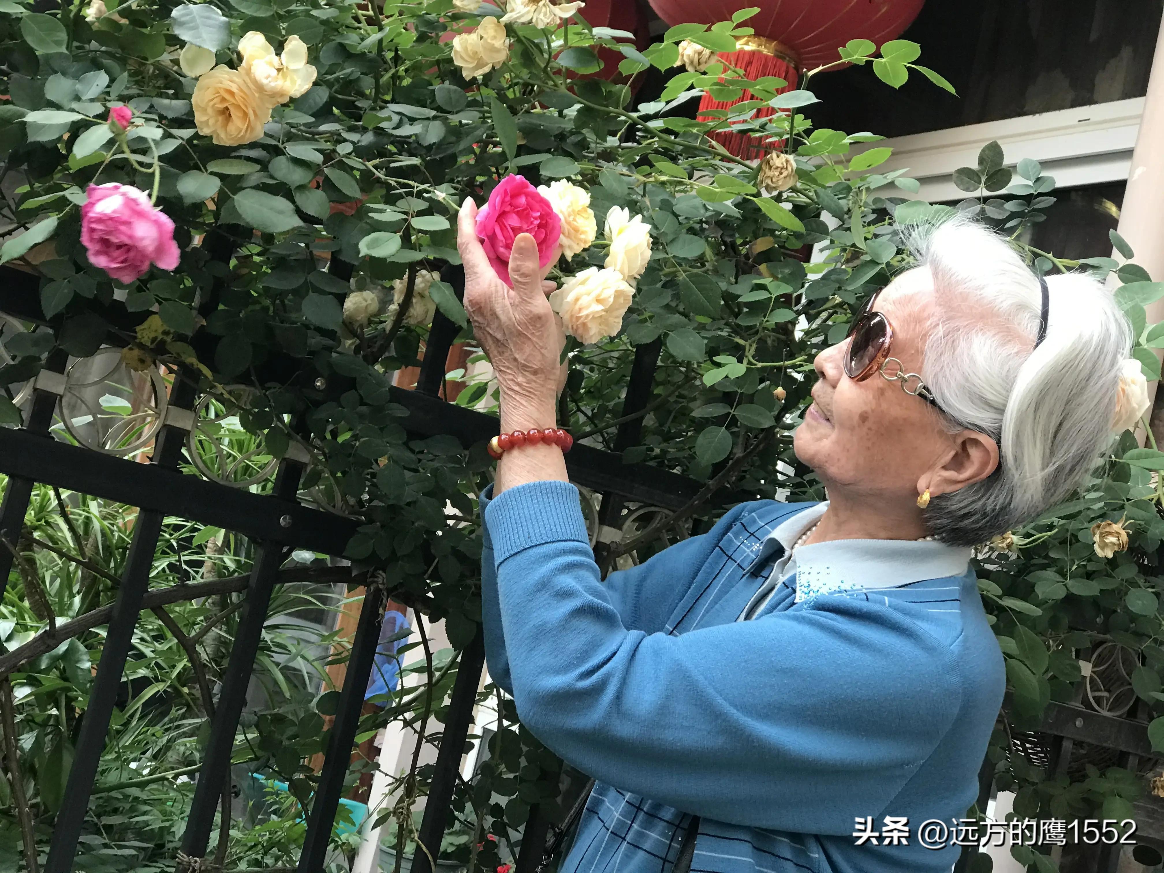 陪伴妈妈的幸福时光-陪伴妈妈的幸福时光的句子说说简短