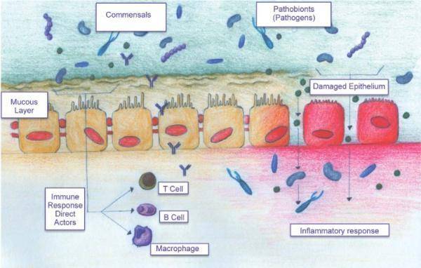鼻塞你以为是鼻炎了？其实还有可能是鼻窦炎，4招改善鼻窦炎烦恼（鼻塞是鼻窦炎的症状吗）