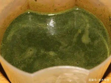 农村这野草，常被当成田间害草，但捣成汁可厉害了，能治慢性鼻炎（田地里的草古代叫什么）