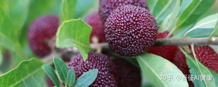 杨梅竟然有这些好处！教你杨梅的正宗做法，酸甜可口，清爽美味！（杨梅怎么做更好吃）