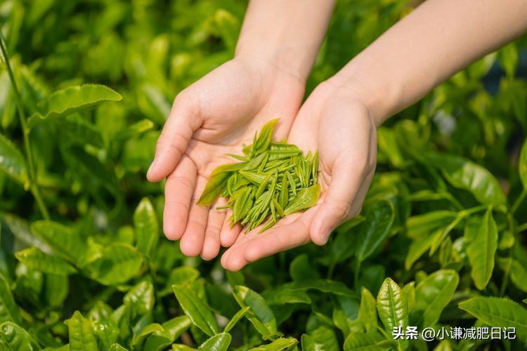 让我瘦了20斤的，夏季7天最方便的减肥法，非常有用-prs电吉他中文名字