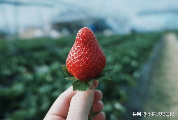 让我瘦了20斤的，夏季7天最方便的减肥法，非常有用-prs电吉他中文名字