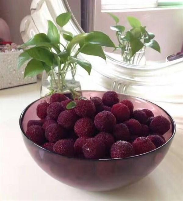 洗杨梅时，别只用盐水了，多加一点它，虫子自动跑出来（洗杨梅的办法）