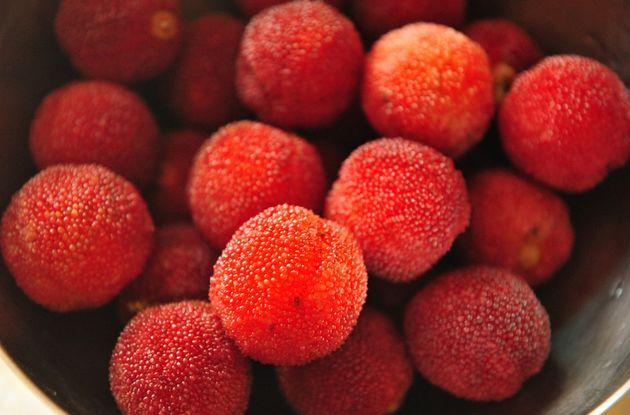 杨梅连核吃清肠解毒？专家：不靠谱！（杨梅能和核桃一起吃吗百度百科）