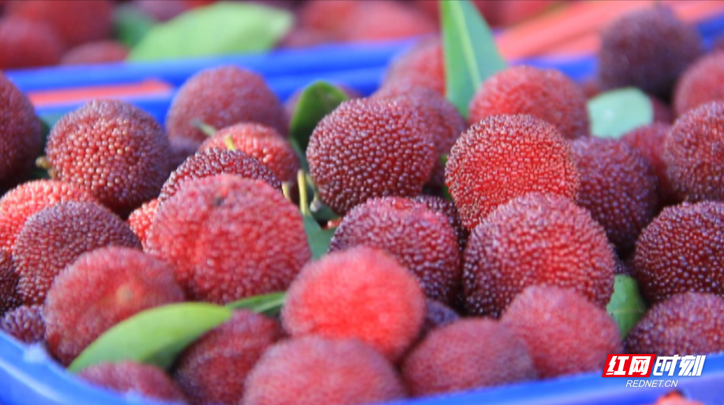 甘甜中带点酸的杨梅，让人是如此回味（杨梅酸酸甜甜的有几种食物名称是什么）