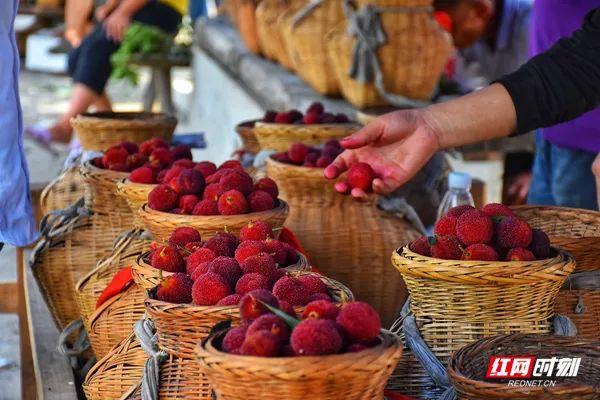 甘甜中带点酸的杨梅，让人是如此回味（杨梅酸酸甜甜的有几种食物名称是什么）