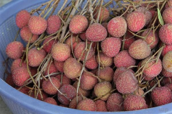 想要身体长得壮，让孩子多吃四种食物，补充营养，越来越健康（孩子长高个子营养食谱）