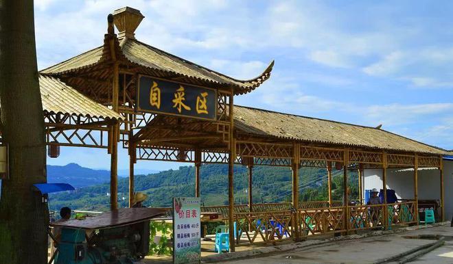 夏天吃杨梅竟然有这么多好处！燕山杨梅门票免费送送送（燕山杨梅好久开园2023年）