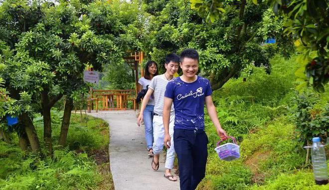夏天吃杨梅竟然有这么多好处！燕山杨梅门票免费送送送（燕山杨梅好久开园2023年）