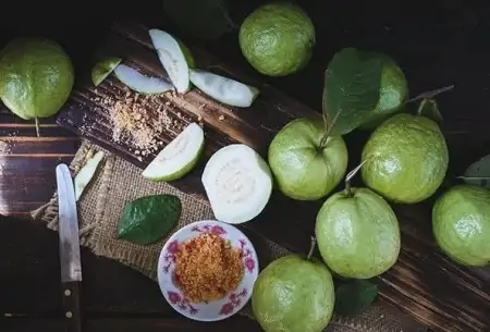 番石榴的功效与作用 番石榴怎么吃才正确（番石榴的功效和作用是什么）