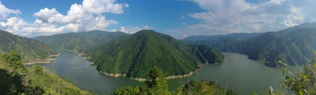 你喝过云南大叶种茶吗？居然有这些功效（云南大叶种茶是普洱茶吗）