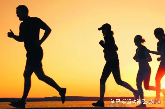 减肥瘦身方法 七天瘦二十斤的好方法-七天瘦30斤的方法