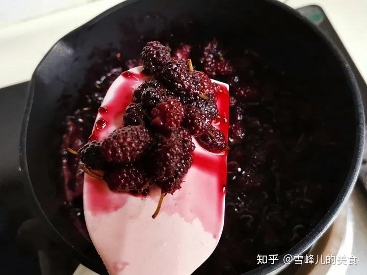 桑葚有什么功效和保健作用？（桑葚都有什么功效和作用）