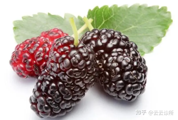 桑葚有哪些功效（中药中的桑椹有什么作用）