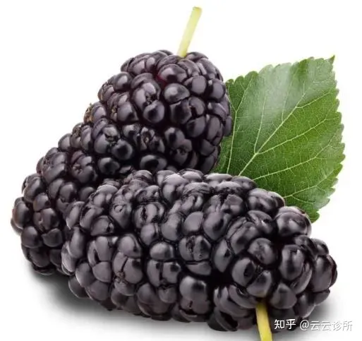 桑葚有哪些功效（中药中的桑椹有什么作用）