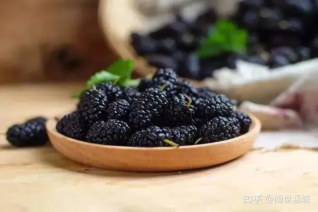 桑椹有什么作用？（桑椹有什么作用与功效禁忌）