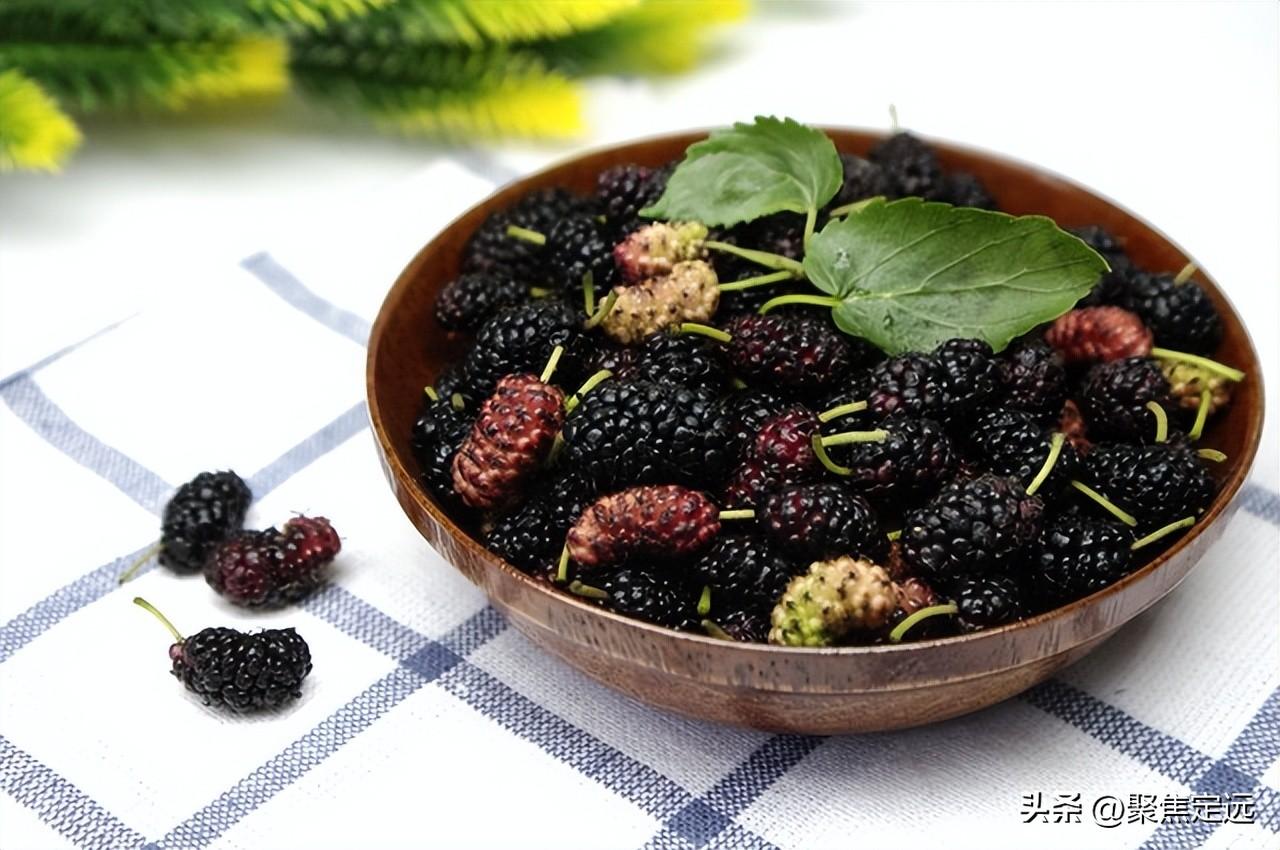桑葚上市了，你知道桑葚的好处吗？这几类人最适合吃桑葚！（桑葚有什么作用与功效）