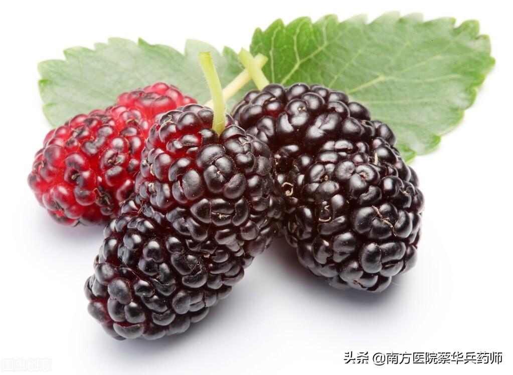桑葚能补肾，吃错反伤身！中药师告诉您桑葚的正确食用方法与禁忌（桑椹补肾如何食用效果好）