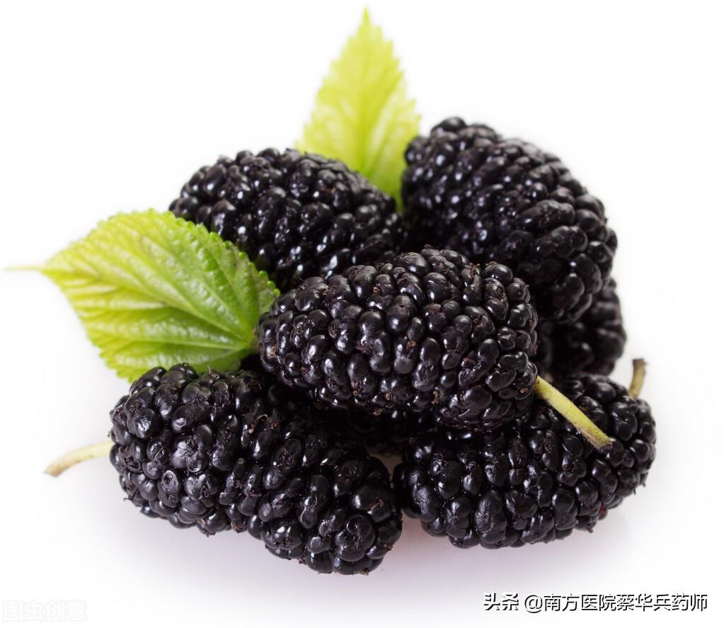 桑葚能补肾，吃错反伤身！中药师告诉您桑葚的正确食用方法与禁忌（桑椹补肾如何食用效果好）