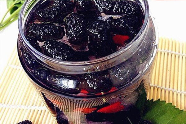 桑葚泡酒喝的功效与作用（桑葚泡酒喝的功效与作用禁忌是什么）