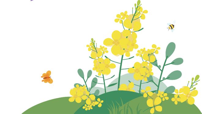 【公益惠农】江联的桑葚熟了（惠民公益人员招聘2020）